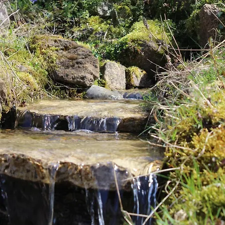 乡村民宿 El Pedrueco Nava