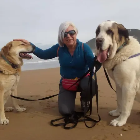 El Pedrueco منزل ريفي *