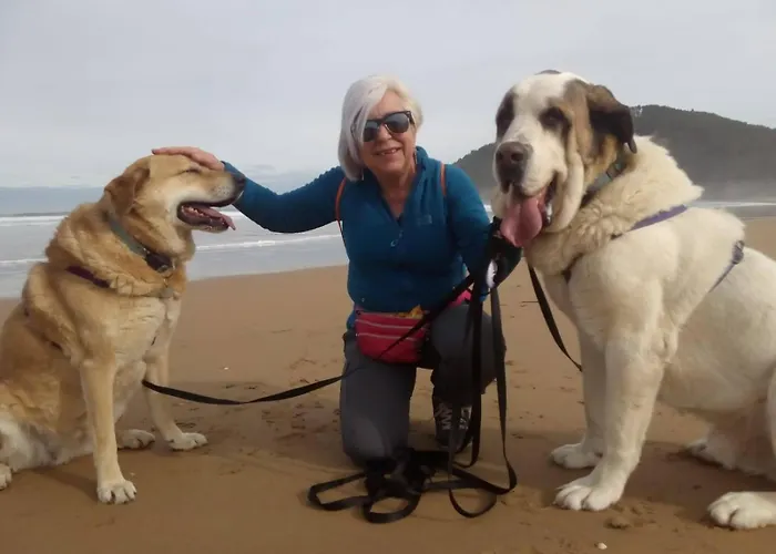 El Pedrueco Landhaus *